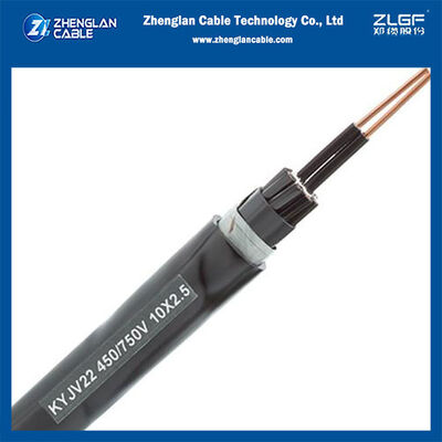 0.6/1kV XLPE 절연 제어 케이블 동도체 PVC 피복 - 발전소용 장갑 제어 케이블