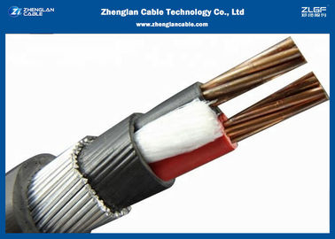 0.6/1KV 2심 비무장 XLPE 절연 전원 케이블(CU/XLPE/LSZH/DSTA) 공칭 섹션: 2*1.5~2*400mm²